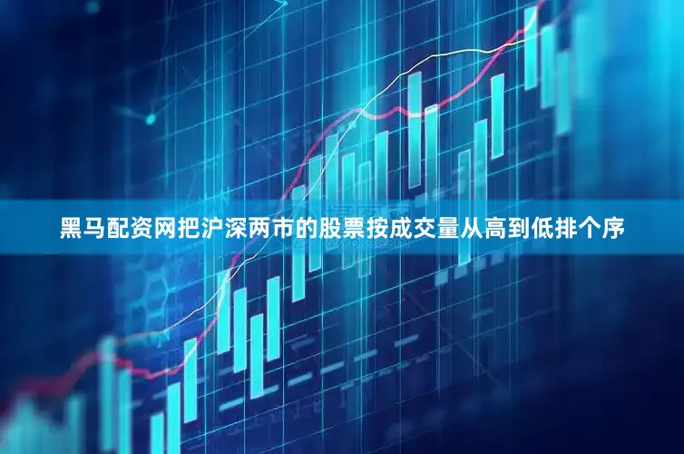 黑马配资网把沪深两市的股票按成交量从高到低排个序